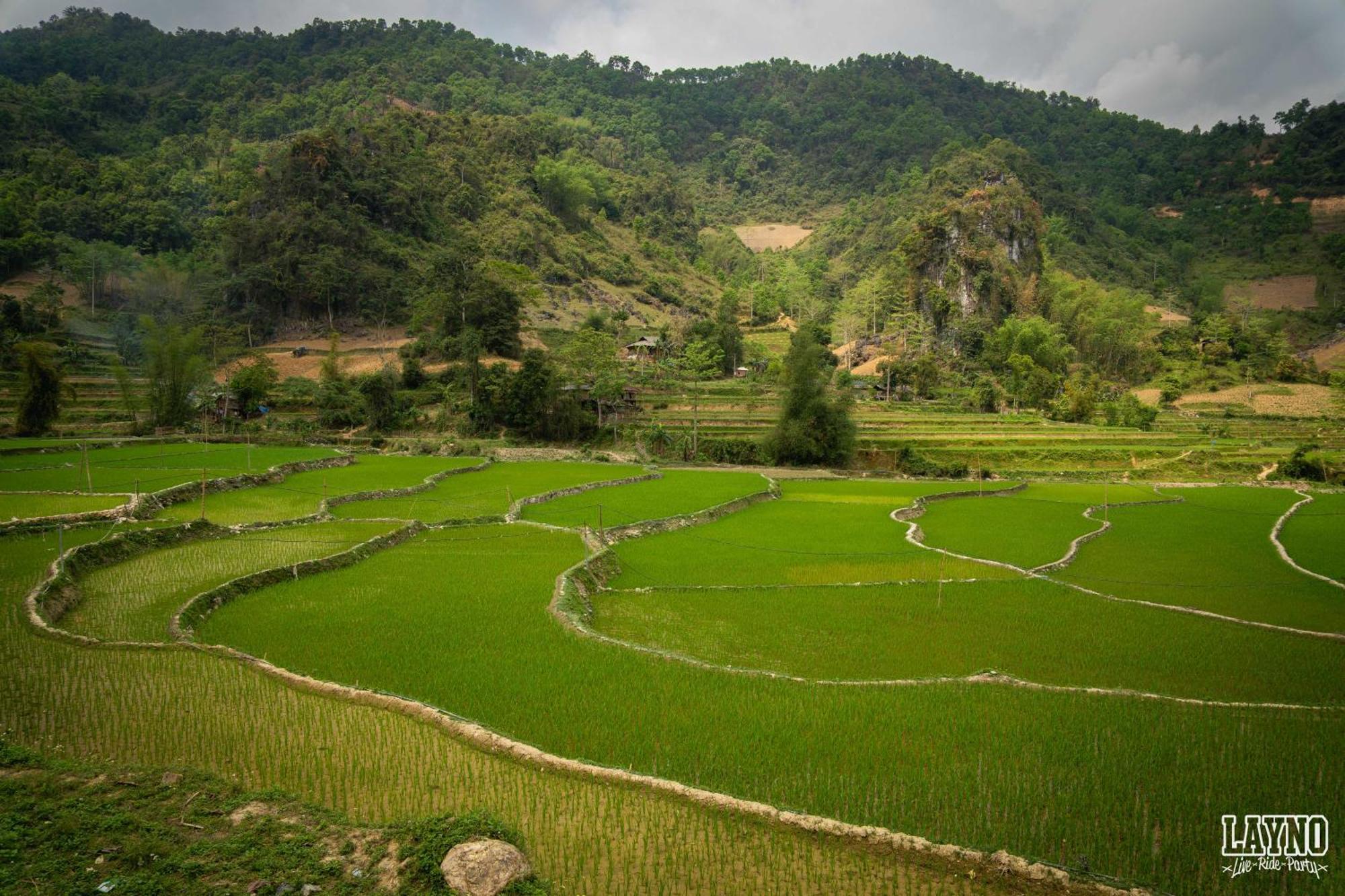 Quiri Hostel Ha Giang Lang Lap Eksteriør billede