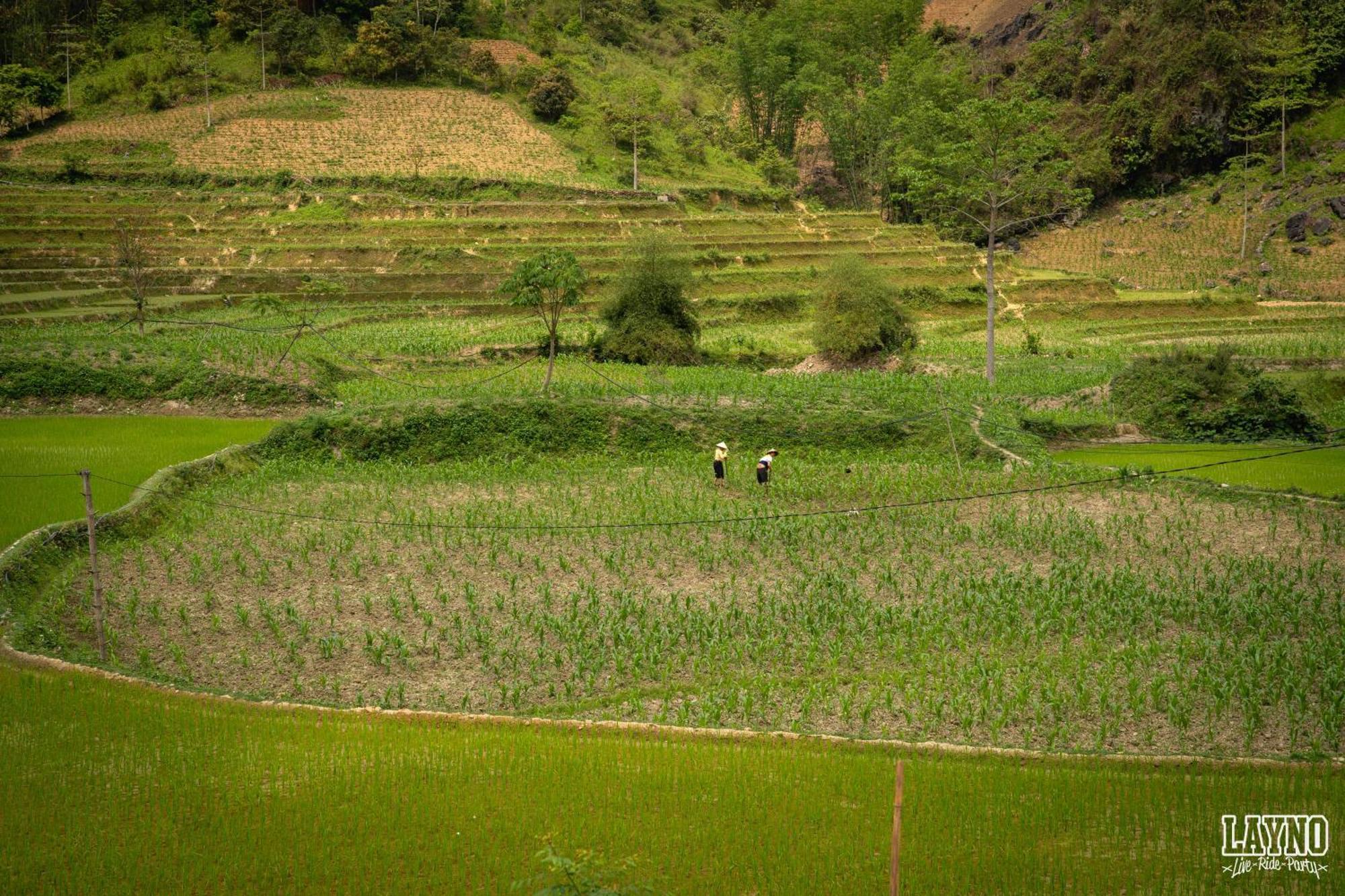 Quiri Hostel Ha Giang Lang Lap Eksteriør billede